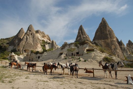 Tour image 3